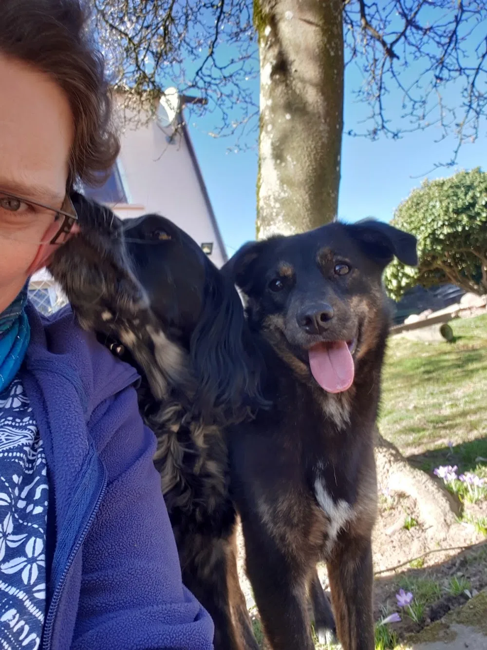 Hundepension Yvonne Herrloch - Illingen pet otel