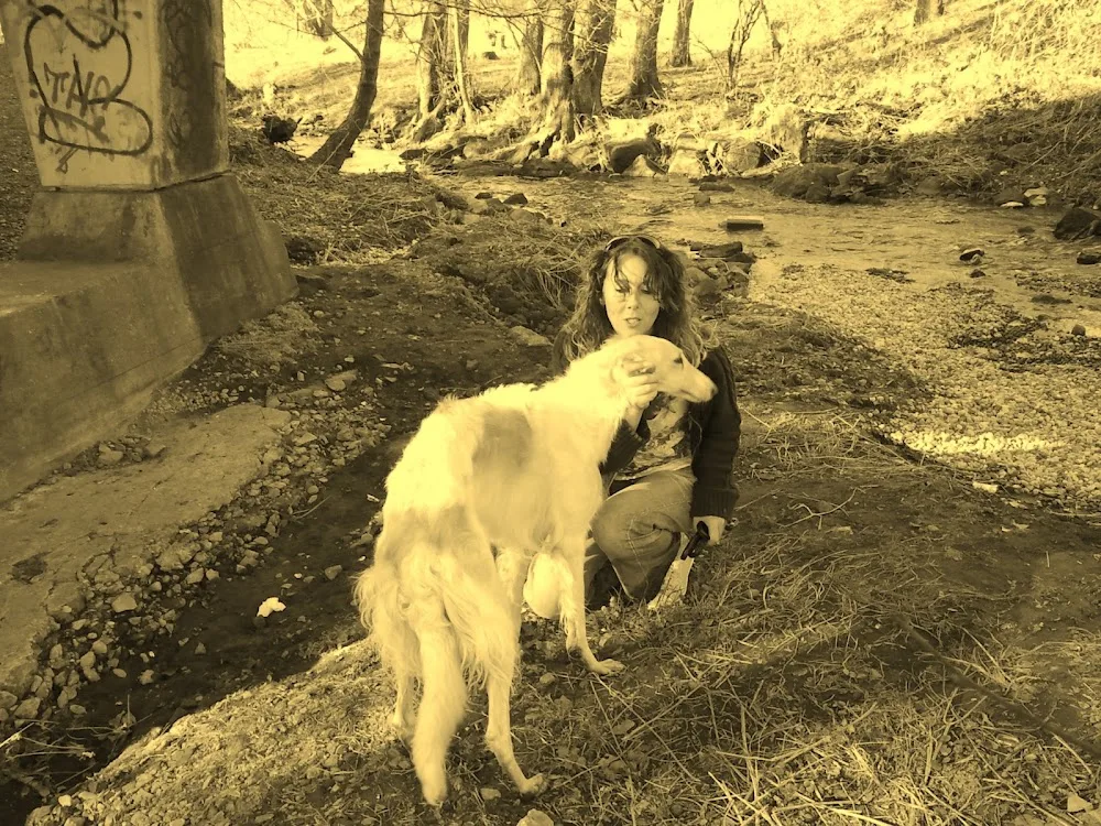 Mobile Hundebetreuung und Hundetraining - Christiane Reinig - Illingen pet otel görseli 2