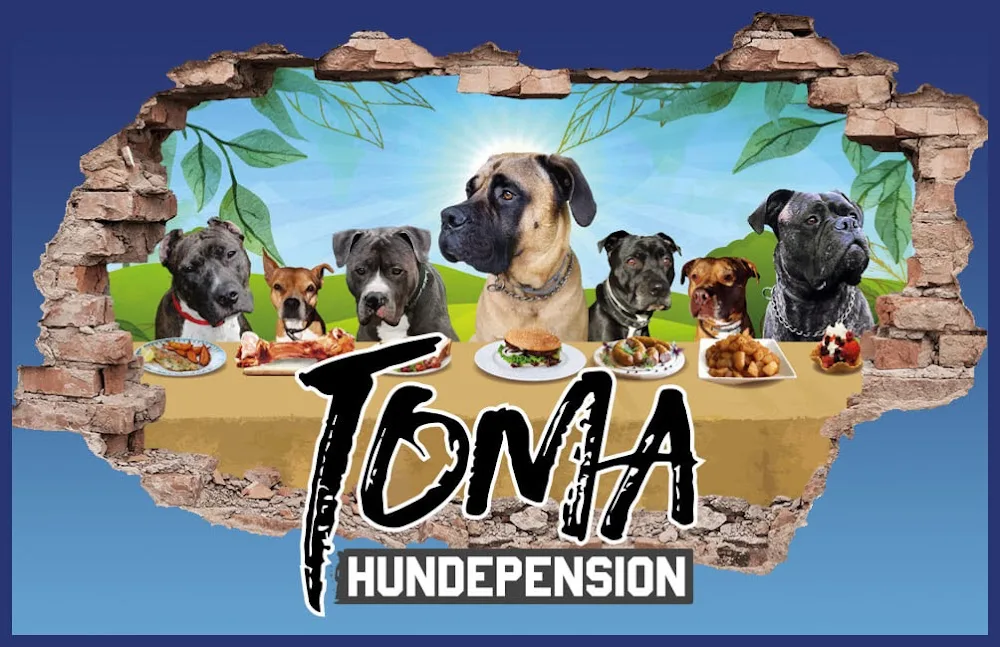ToMa Hundepension - Illingen pet otel görseli 2