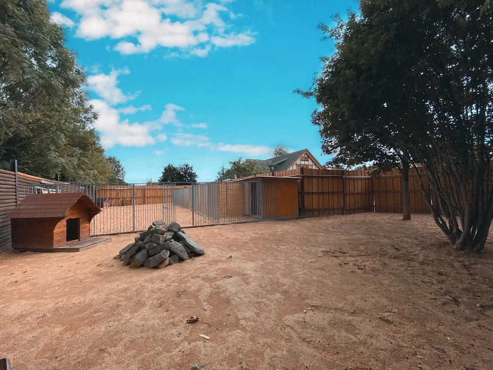Hundepension & Training Hundeschule Katja Melchior - Ilmenau pet otel