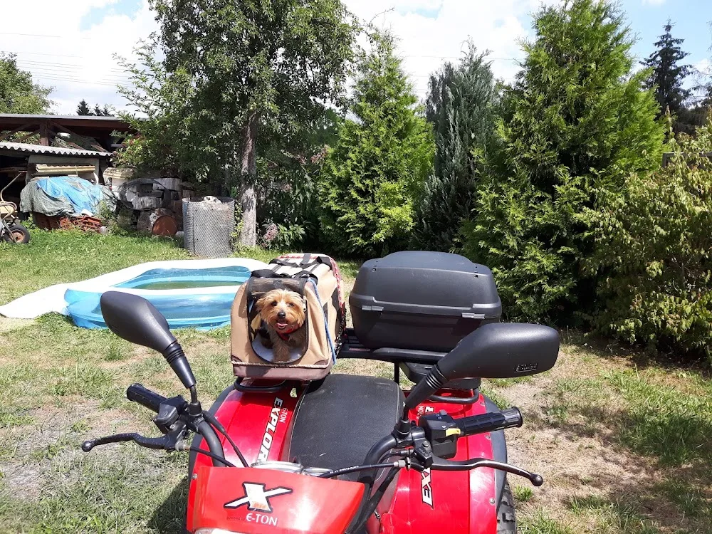 Tierpension Pfötchenoase - Ilmenau pet otel görseli 3