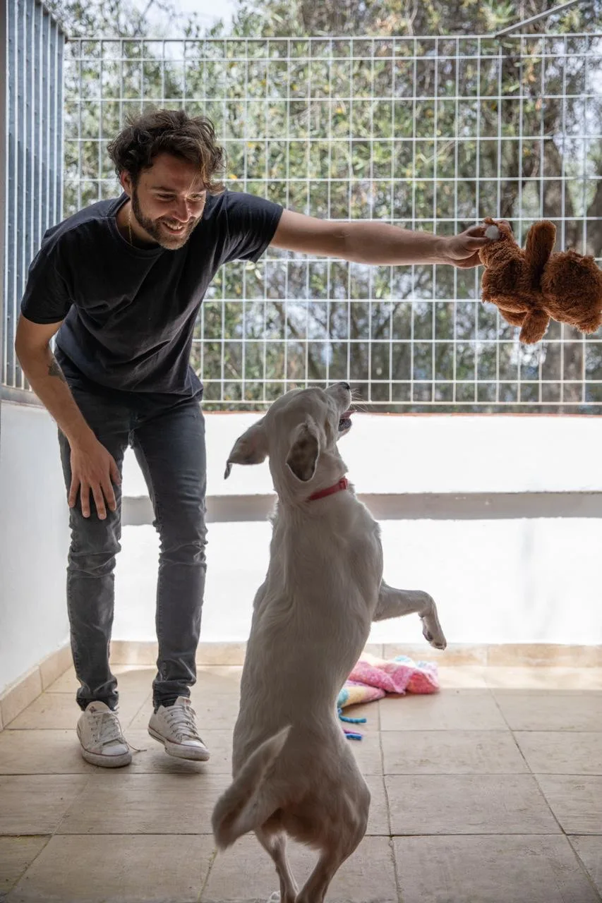 Gli Ulivi | Pensione per Cani e Gatti - Imperia pet otel görseli 3