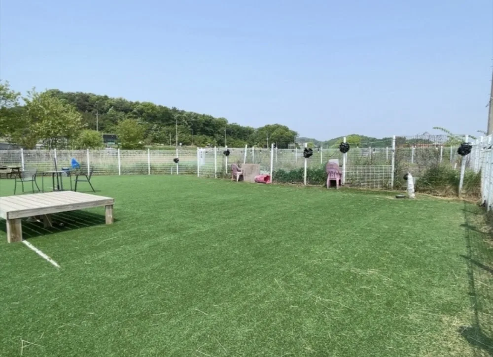 AND Pet Hotel - Incheon pet otel görseli 3