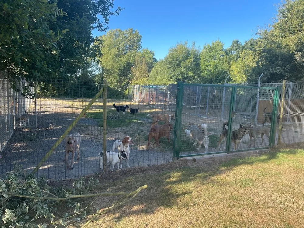 Cani Pension - Indre pet otel görseli 2
