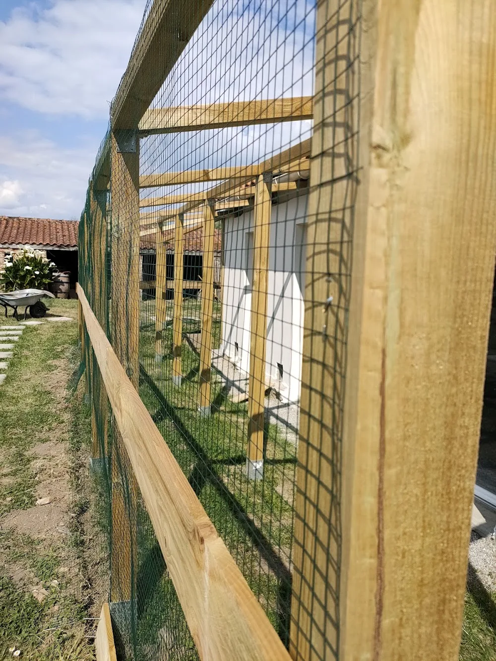 Felin'Good pension pour chats 44 - Indre pet otel
