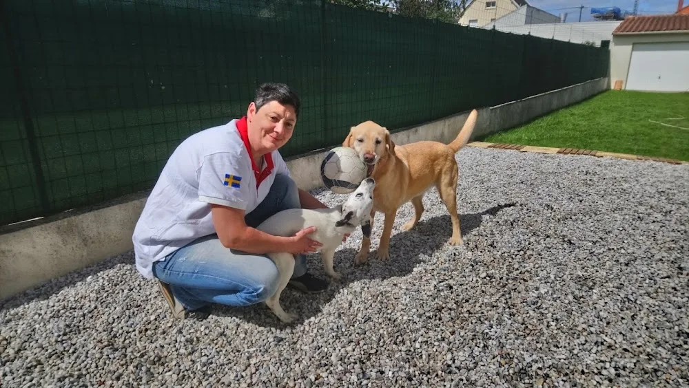 Hôtellerie Kaline - Pension Familiale pour Chats et Chiens ; Visites à domicile pour Chats - Indre pet otel görseli 7