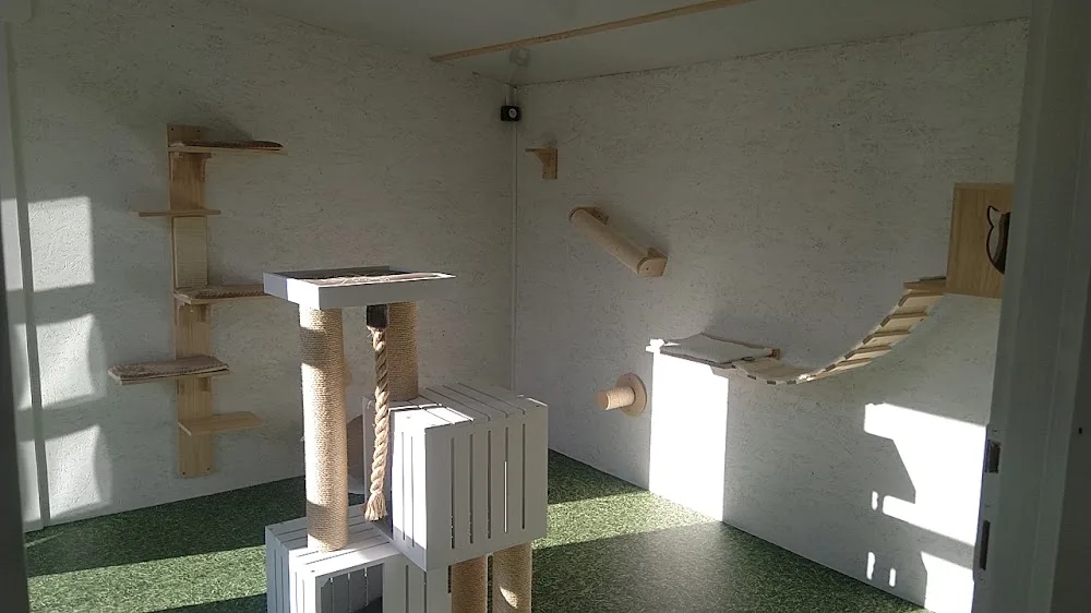Le pré aux chats - Indre pet otel görseli 3