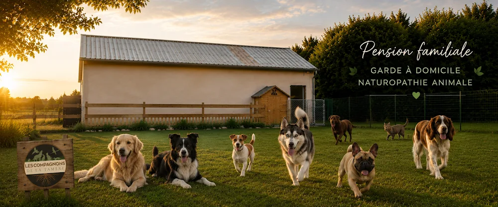 Les Compagnons de la Tambre - Indre pet otel