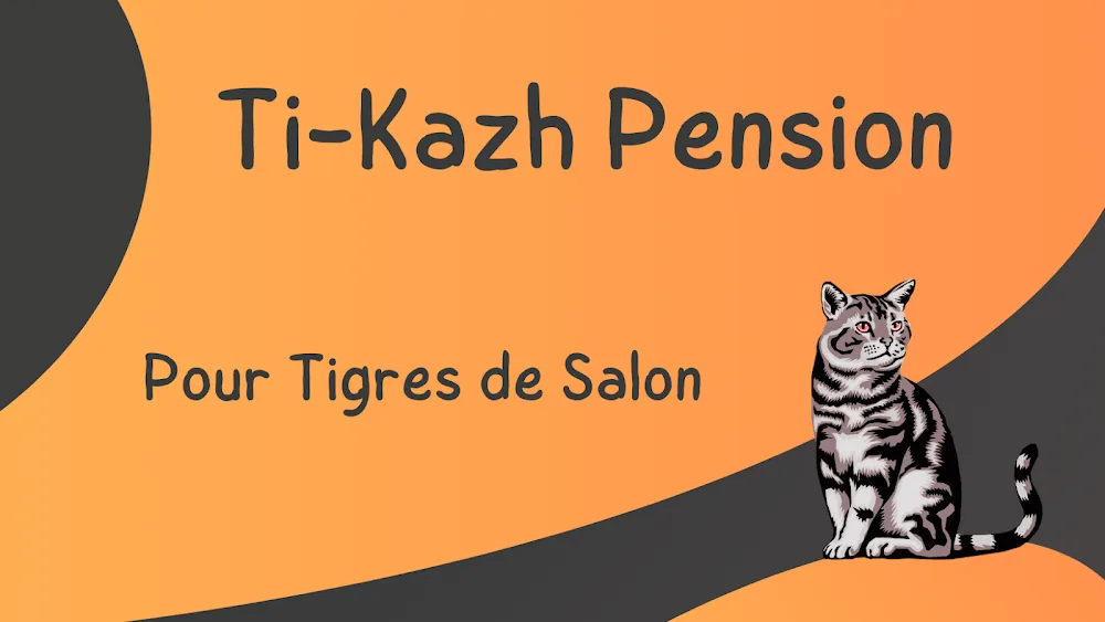 Ti Kazh Pension pour chats - Indre pet otel