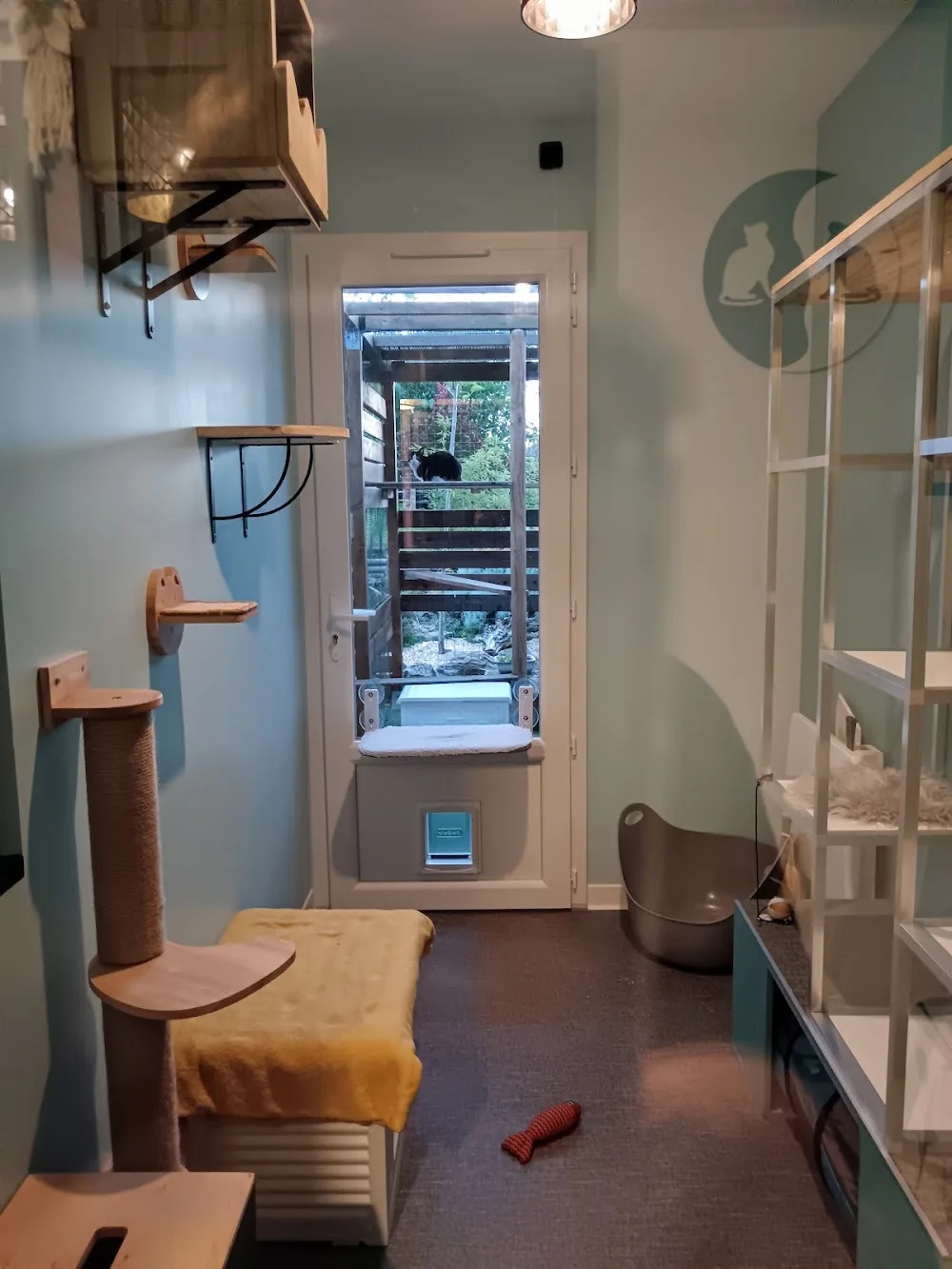 Ti Kazh Pension pour chats - Indre pet otel görseli 7