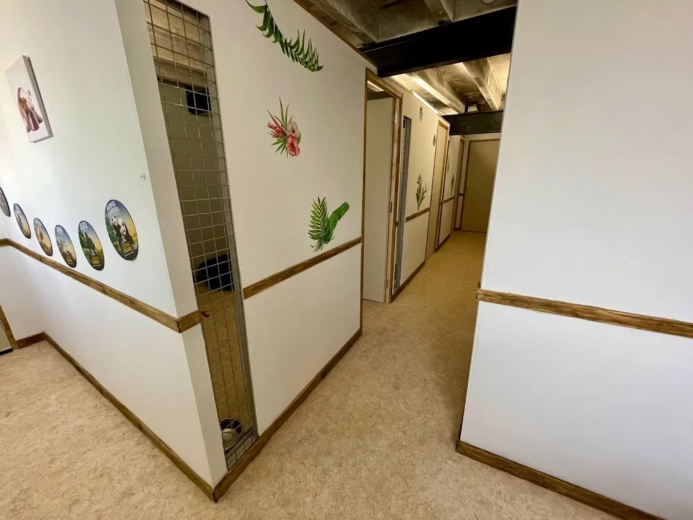 Toutou Zen - Indre pet otel