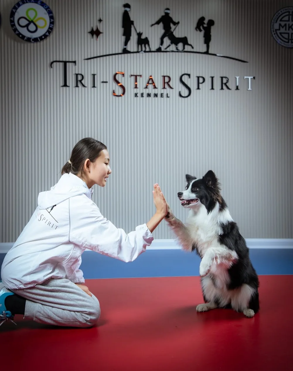 Tri-Star Spirit Kennel - Inner Mongolia pet otel