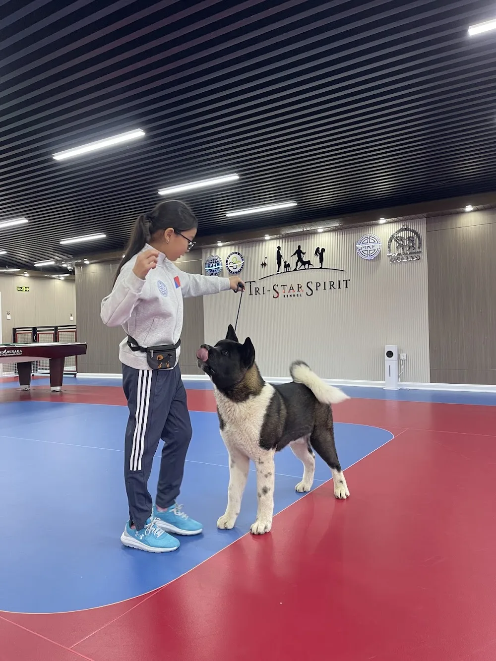 Tri-Star Spirit Kennel - Inner Mongolia pet otel görseli 3