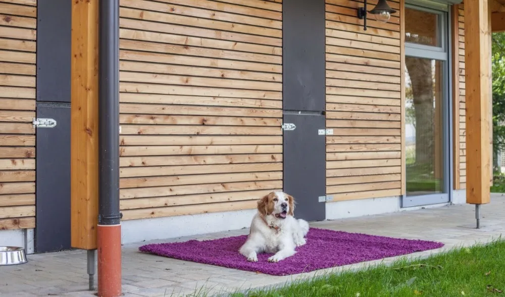 Hunde-Pension-Schule Maier - Inning am Holz pet otel