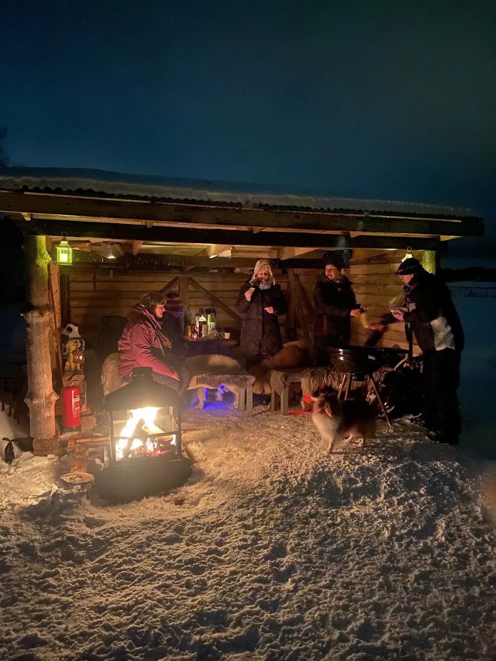 Badiras hundesenter - Innlandet pet otel
