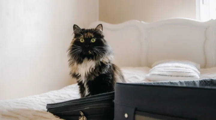 Hersoug Dyrepensjonat - Innlandet pet otel