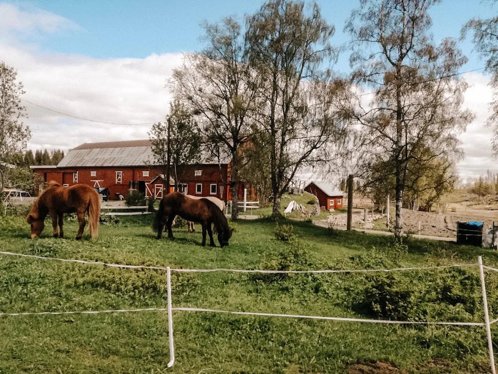 Midtbugaard Hundepensjonat - Innlandet pet otel
