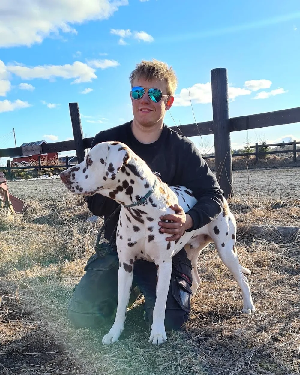 Midtbugaard Hundepensjonat - Innlandet pet otel görseli 3