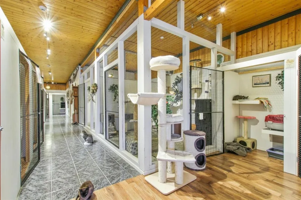 Myhre's cattery - Innlandet pet otel görseli 3