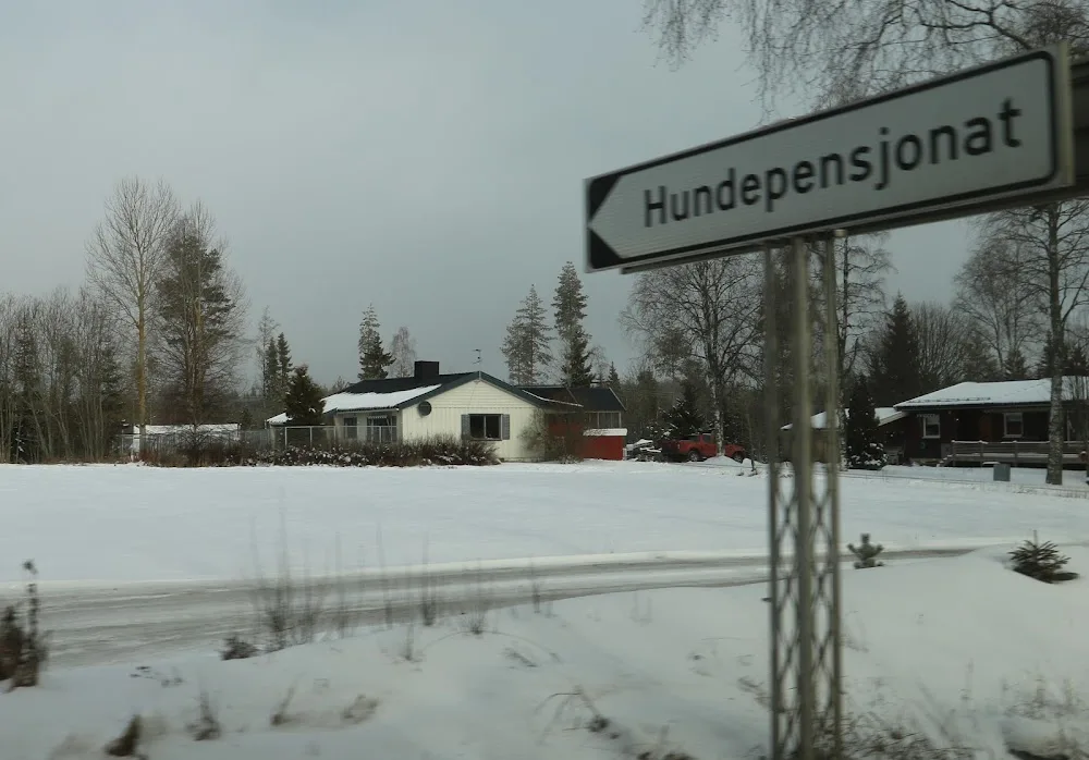 Nordvang Hundepensjonat - Innlandet pet otel