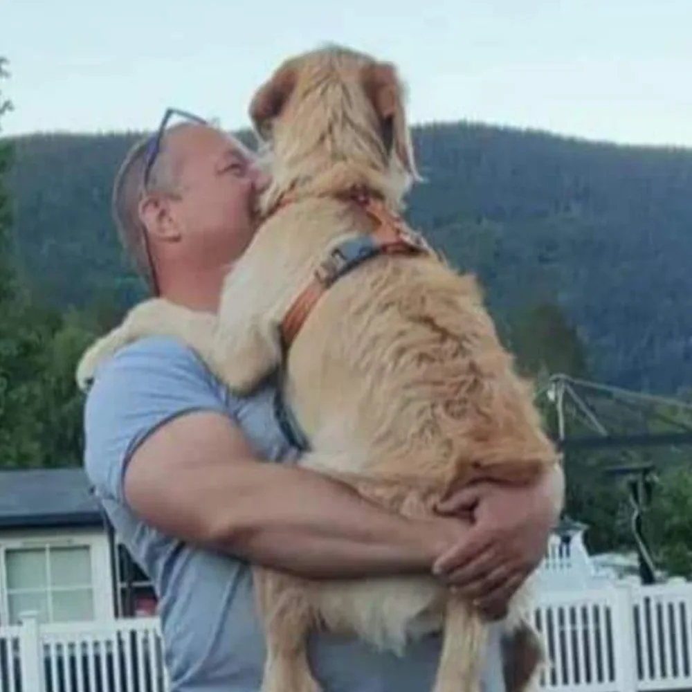 Nordvang Hundepensjonat - Innlandet pet otel görseli 4