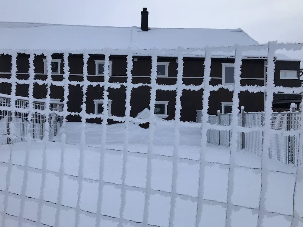 Snerta Hundehotell - Innlandet pet otel görseli 3