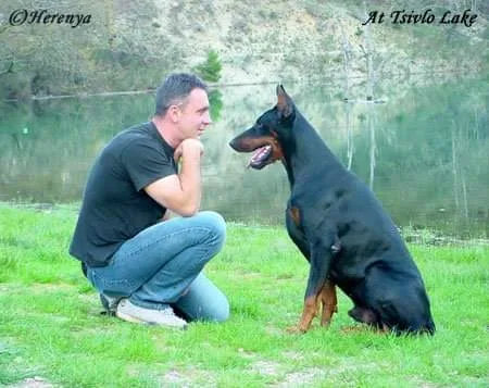 Herenya Kennels - Ionian Islands pet otel görseli 3