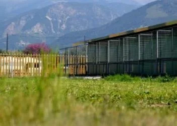 Κυνόβιο Ξενοδοχείο Μικρών Ζώων - Ionian Islands pet otel