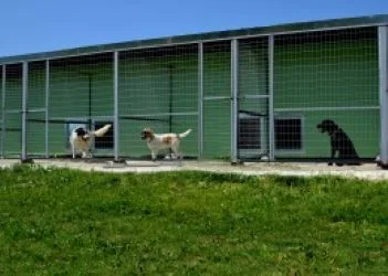 Κυνόβιο Ξενοδοχείο Μικρών Ζώων - Ionian Islands pet otel görseli 11