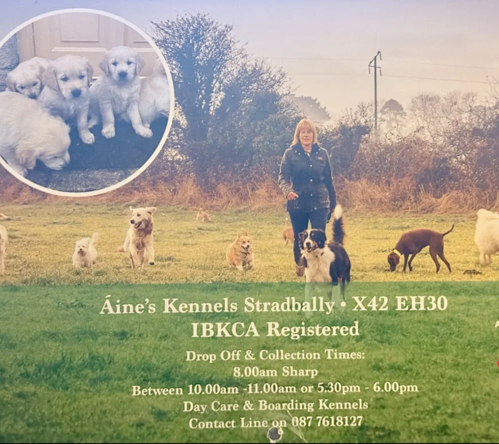 Áine Cummins Kennels - Ireland pet otel görseli 6