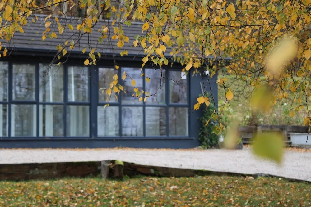 Alpine Cattery - Ireland pet otel görseli 14