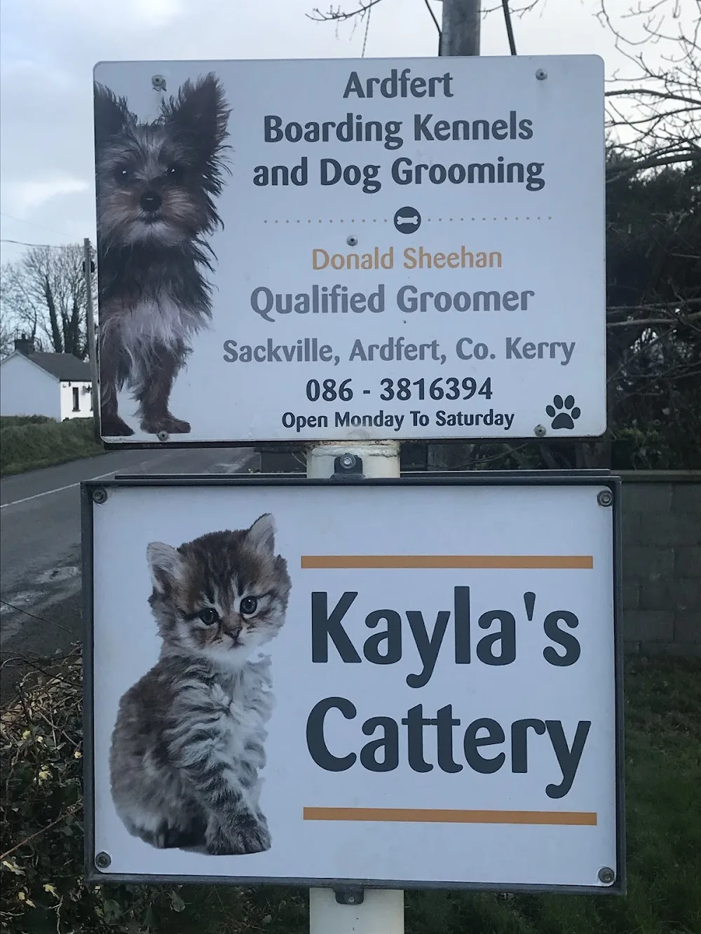 Ardfert Boarding Kennels and Cattery - Ireland pet otel görseli 7