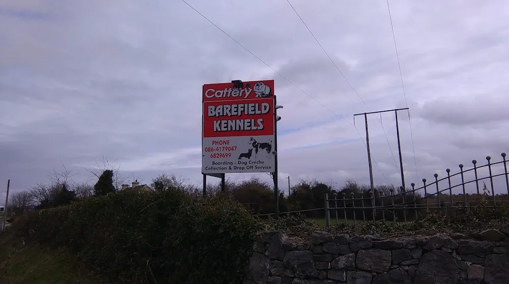 Barefield Boarding Kennels - Ireland pet otel görseli 3