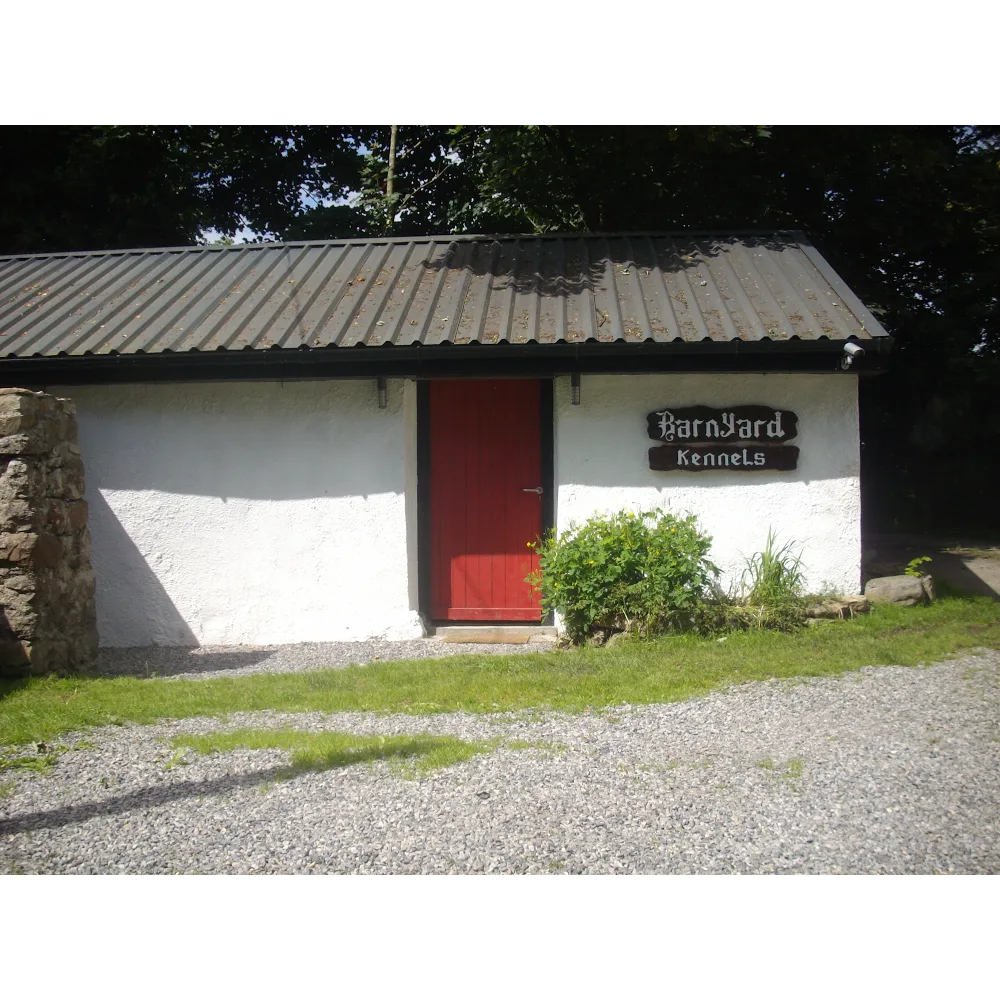 Barnyard Boarding Kennels - Ireland pet otel görseli 2