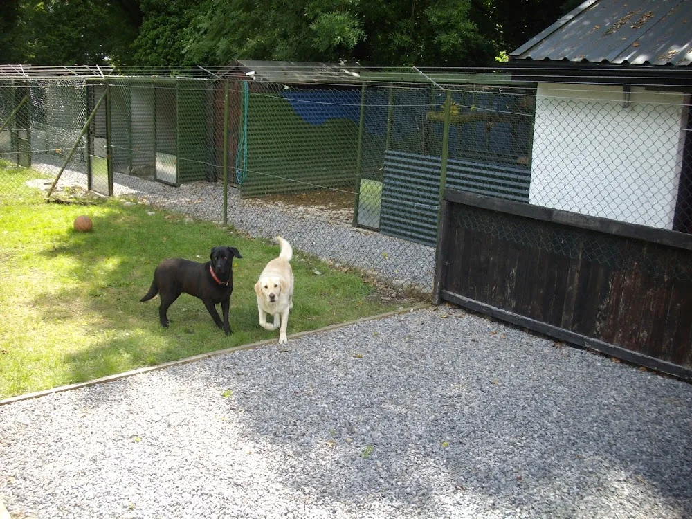Barnyard Boarding Kennels - Ireland pet otel görseli 7