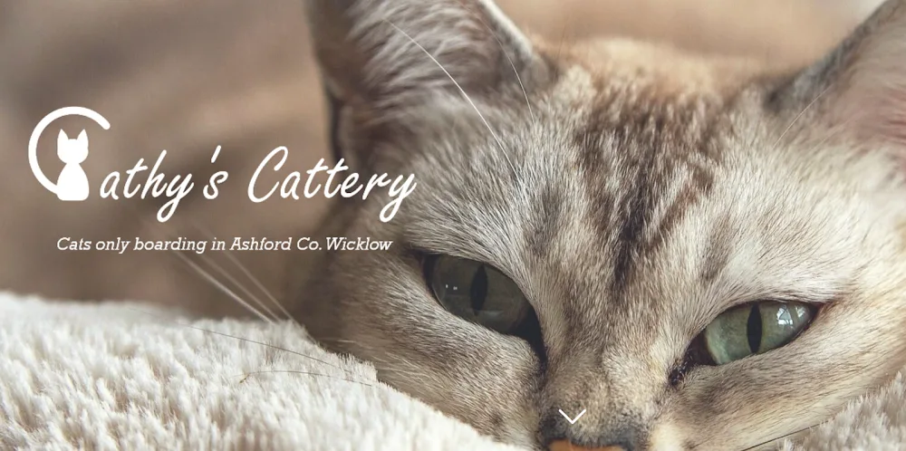 Cathy's Cattery - Ireland pet otel görseli 2