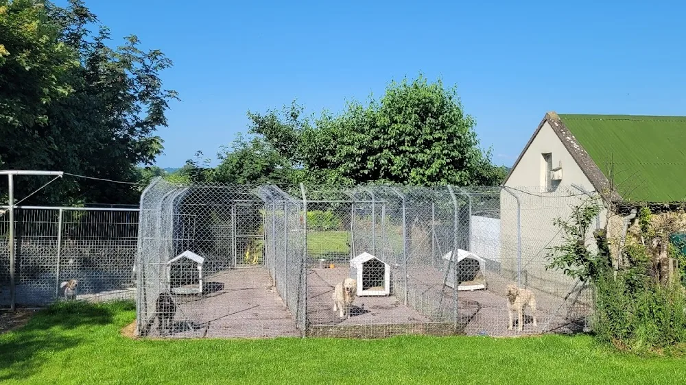 Comfy Kennels & Cattery - Ireland pet otel görseli 3