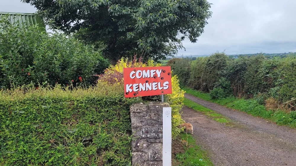 Comfy Kennels & Cattery - Ireland pet otel görseli 6