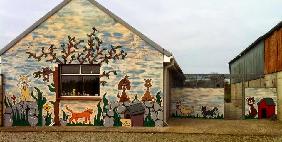 Corlican Pet Motel - Ireland pet otel görseli 2