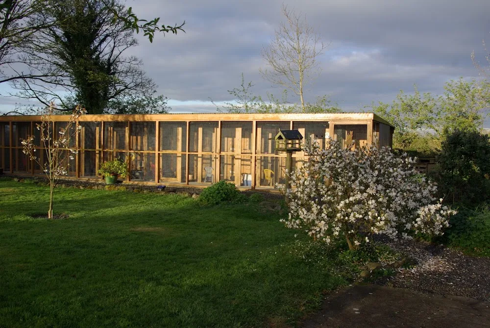Cuibhreann Cattery - Ireland pet otel görseli 2