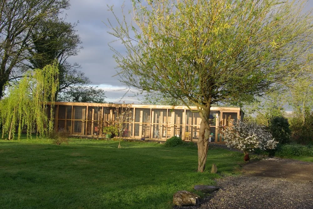 Cuibhreann Cattery - Ireland pet otel görseli 7