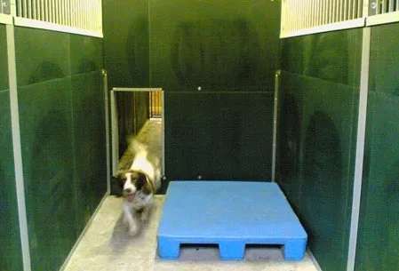 Deutsche Boarding Kennels & Cattery Limited - Ireland pet otel görseli 13