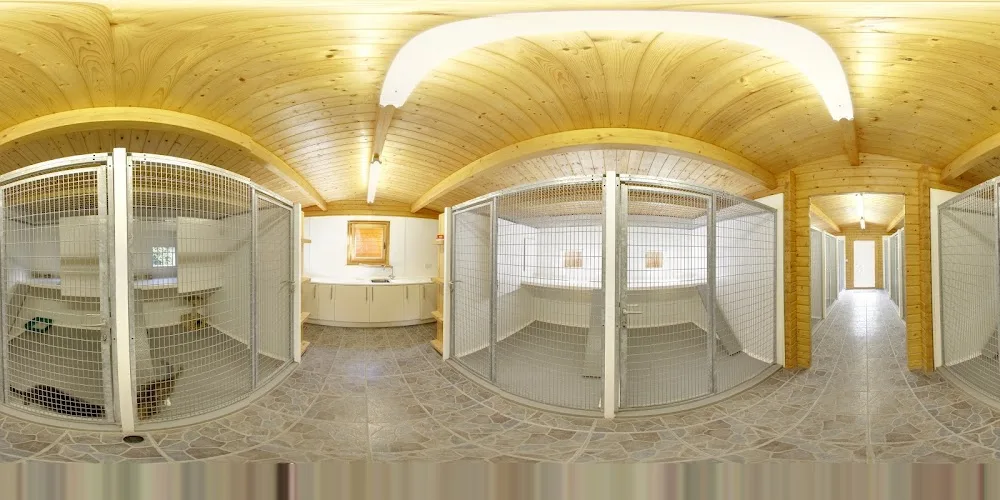 Deutsche Boarding Kennels & Cattery Limited - Ireland pet otel görseli 7