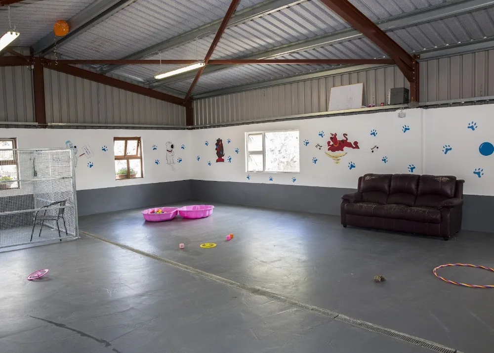 Dysert O'Dea Doggy Day Care & Boarding Kennels - Ireland pet otel görseli 6