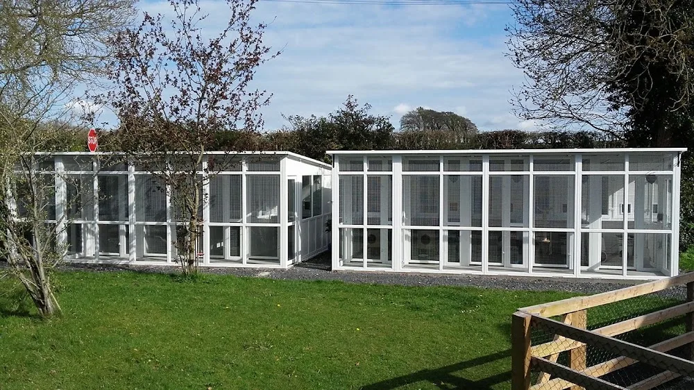 Graigues Cottage Cattery - Ireland pet otel görseli 10