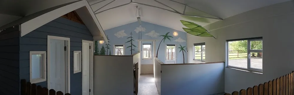Happy Campers Pet Hotel - Ireland pet otel görseli 6