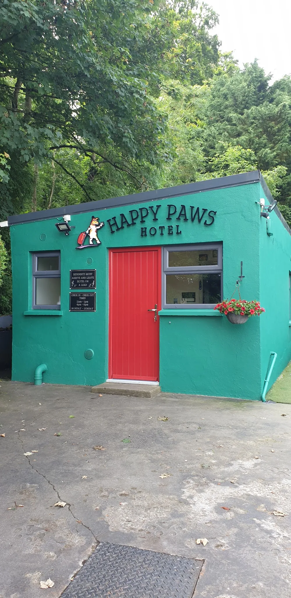Happy Paws Hotel - Ireland pet otel görseli 14
