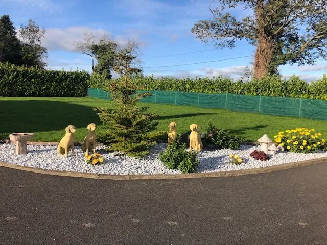 Holly's Hotel - Dog Boarding - Ireland pet otel