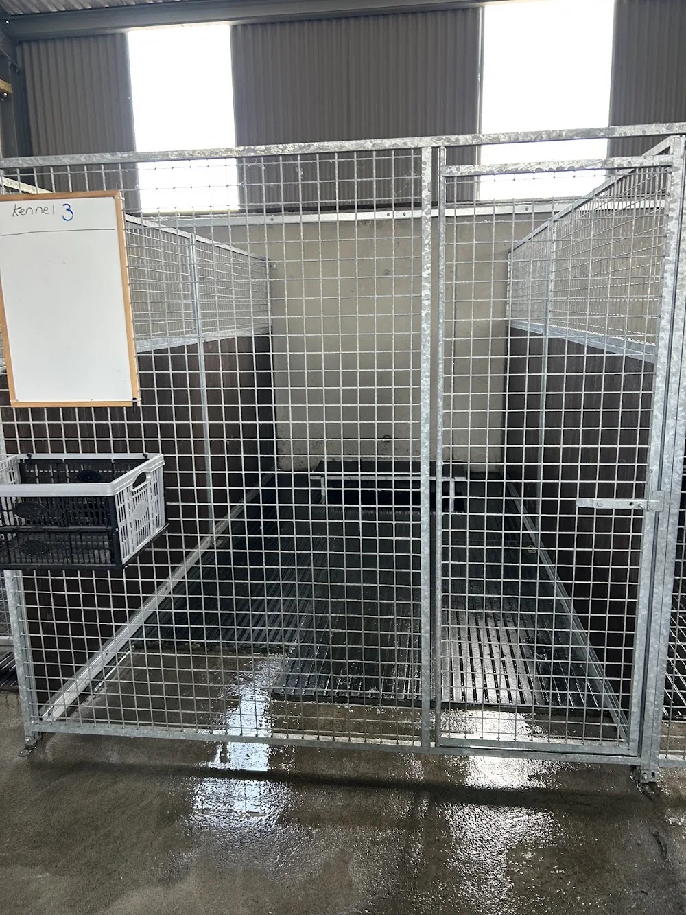 Kildare Boarding Kennels - Ireland pet otel görseli 14