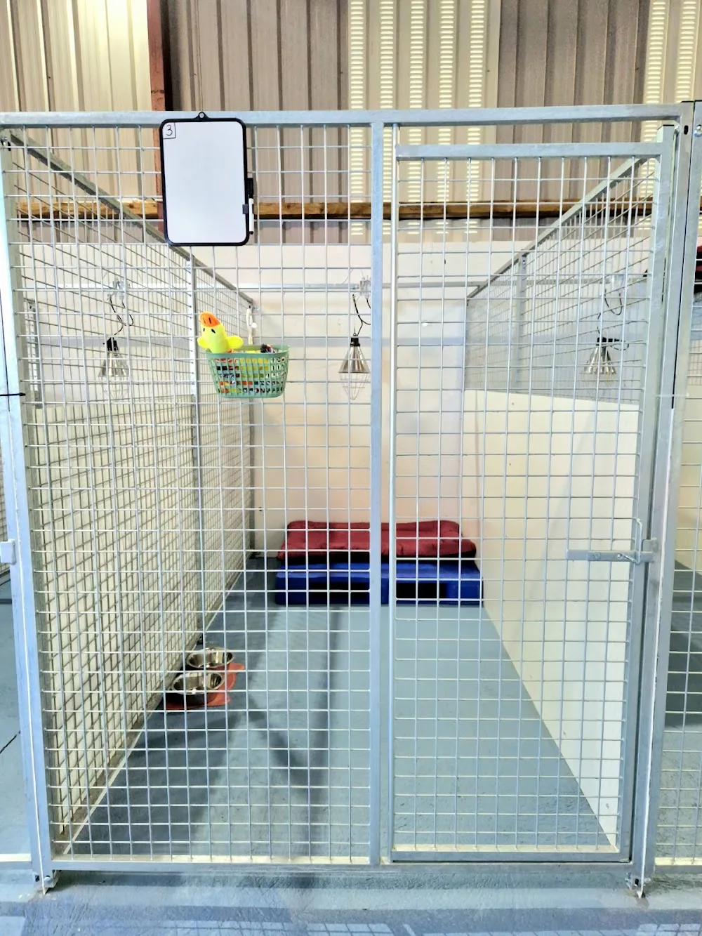 Lookout Paws Pet Boarding - Ireland pet otel görseli 2